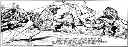 Tarzan combattant